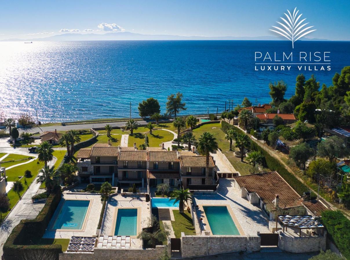 Palmrise Luxury Villas By Travel Pro Services - Nea Skioni Halkidiki Экстерьер фото
